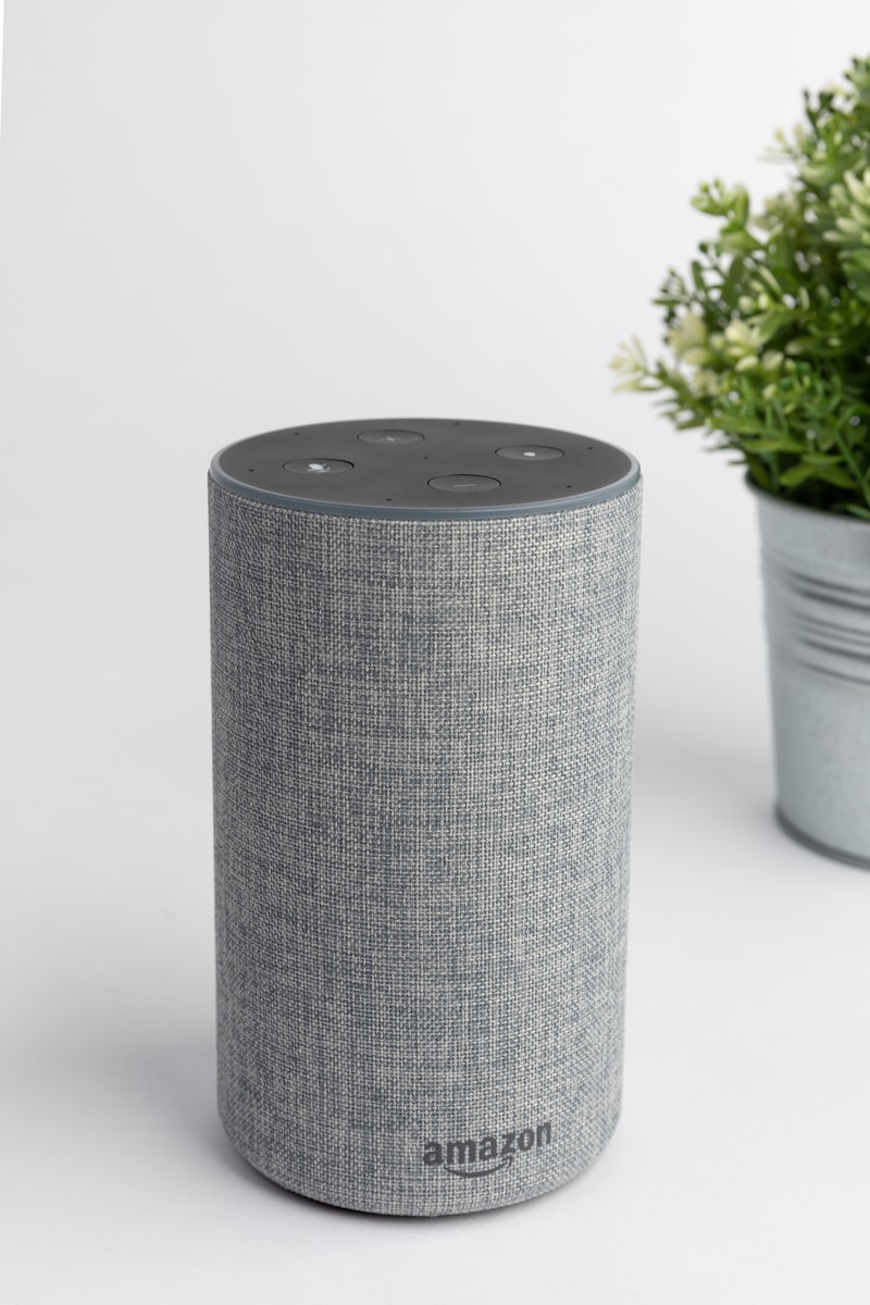 IOTARU Smart Speaker